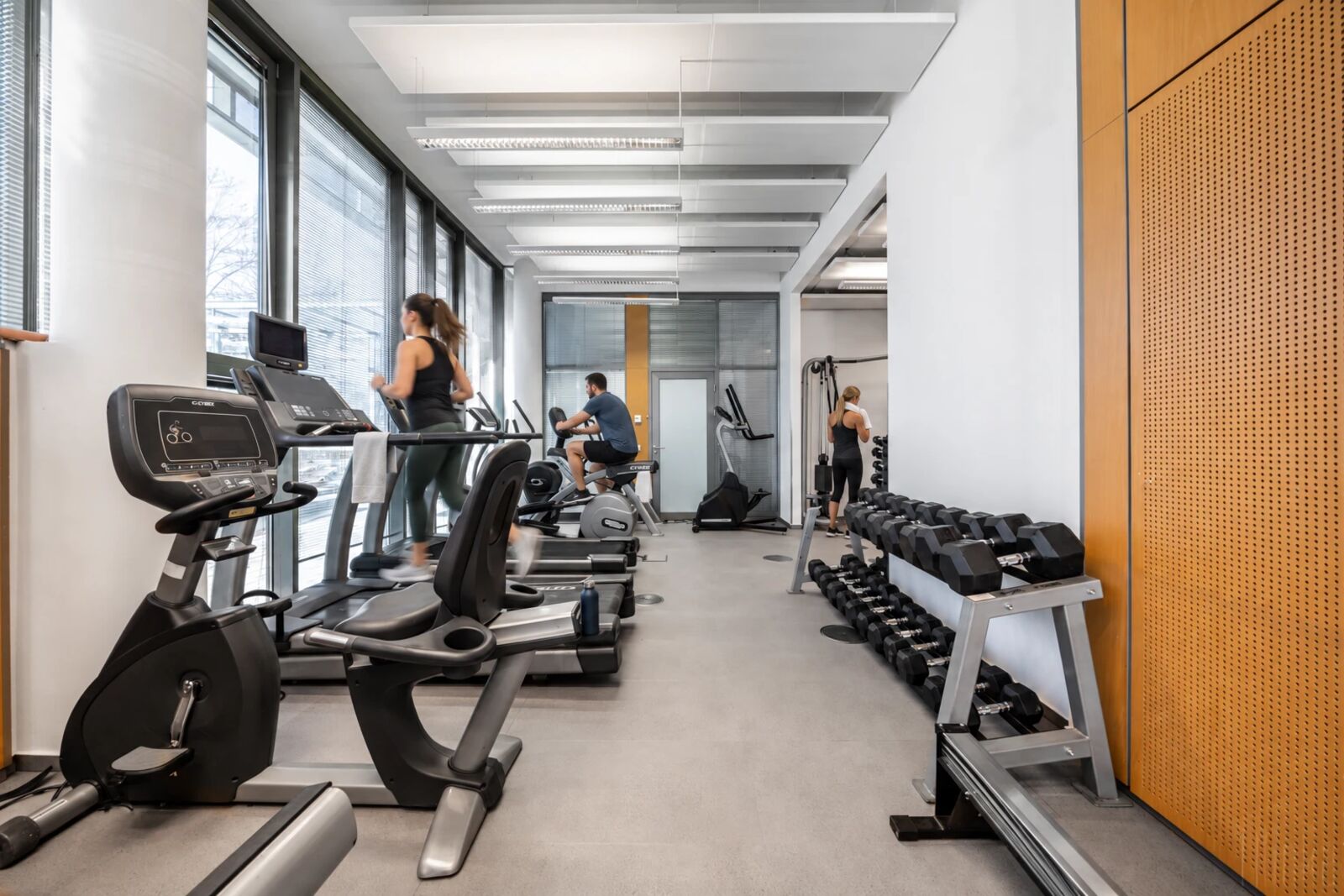 Gym at IN15 Office Park